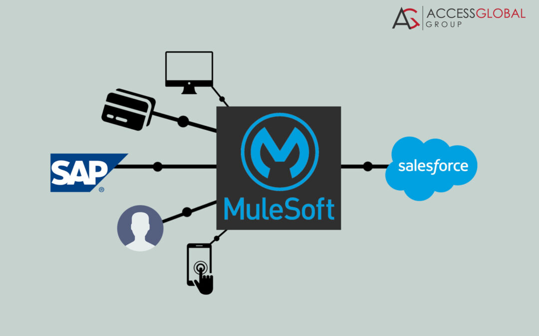 Salesforce Integration with ERP Application Systems
