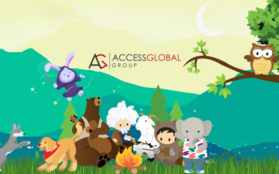Who Are The Salesforce Characters?