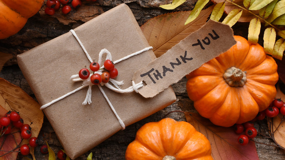 Giving Thanks to Salesforce: A Celebration by Access Global Group